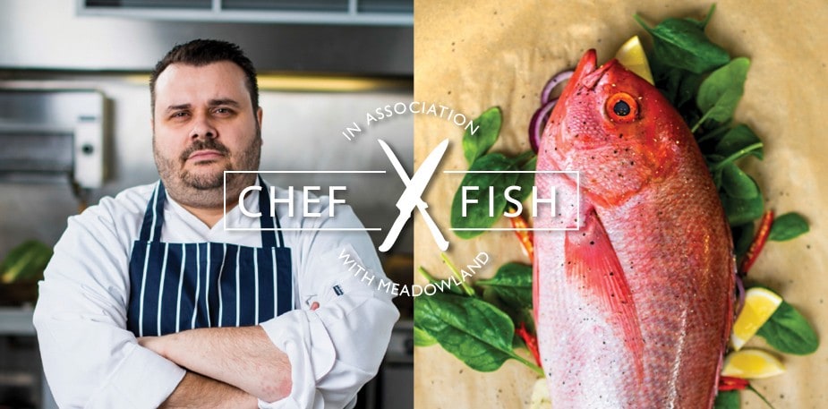 CHEF vs FISH 